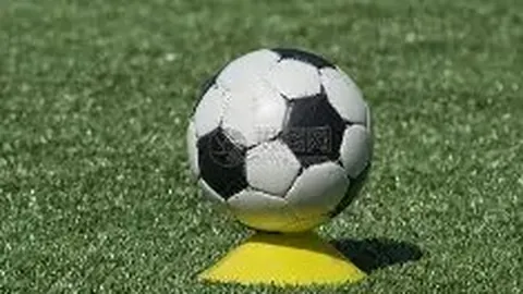 必赢电子 资讯 102254 rmr