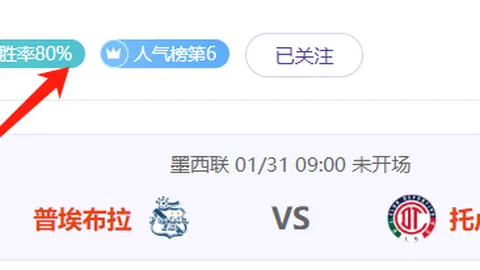 勒诺尔芒回归马竞训练场，据《马卡报》报道